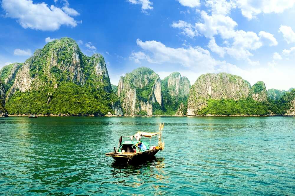 Green Vietnam Green Vietnam