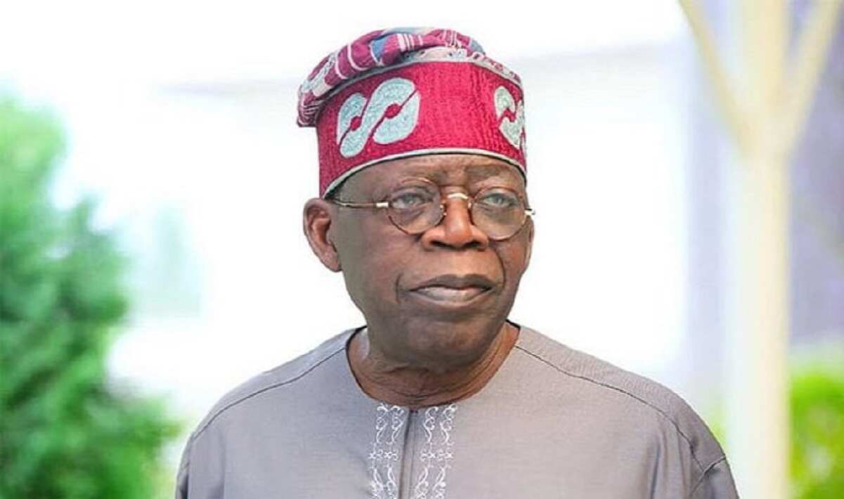 Tinubu finally speaks on farmer/herders clash, tells Buhari what to do about crisis