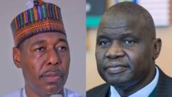 Governor Zulum appoints Jonathan's ex-minister as Borno SSG