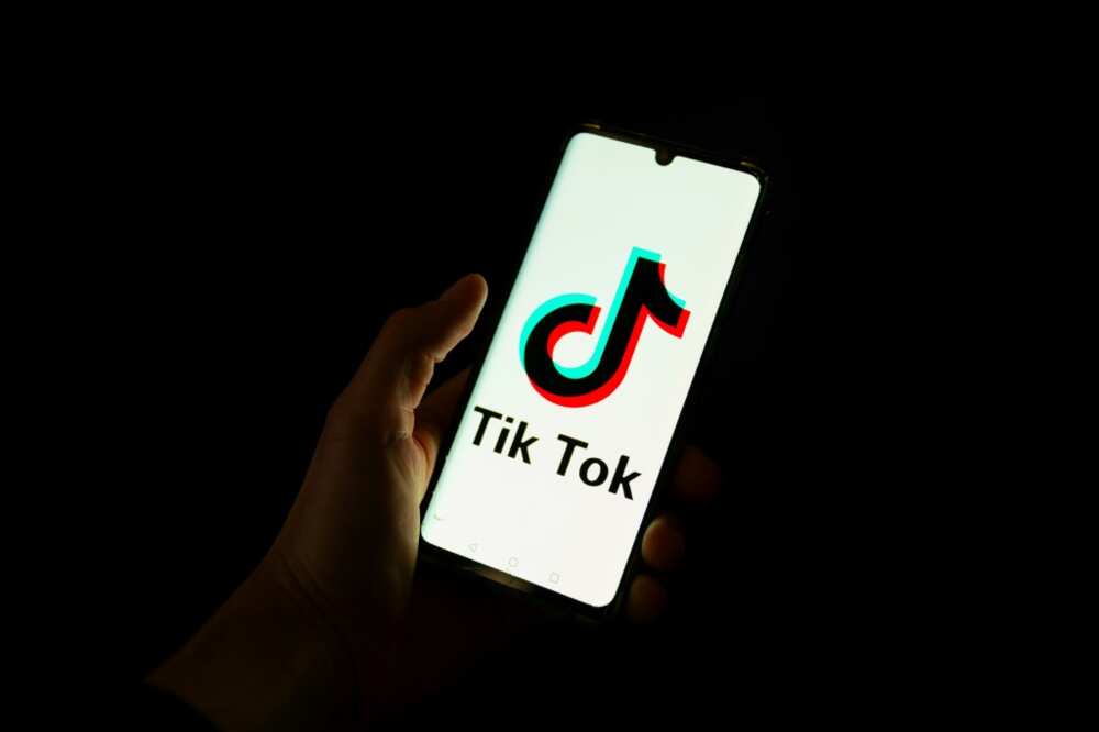 British political parties have turned to TikTok for election campaigning