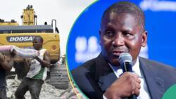 Traders sell bag of cement at new prices as Dangote, BUA, Lafarge make over N2trn from sales