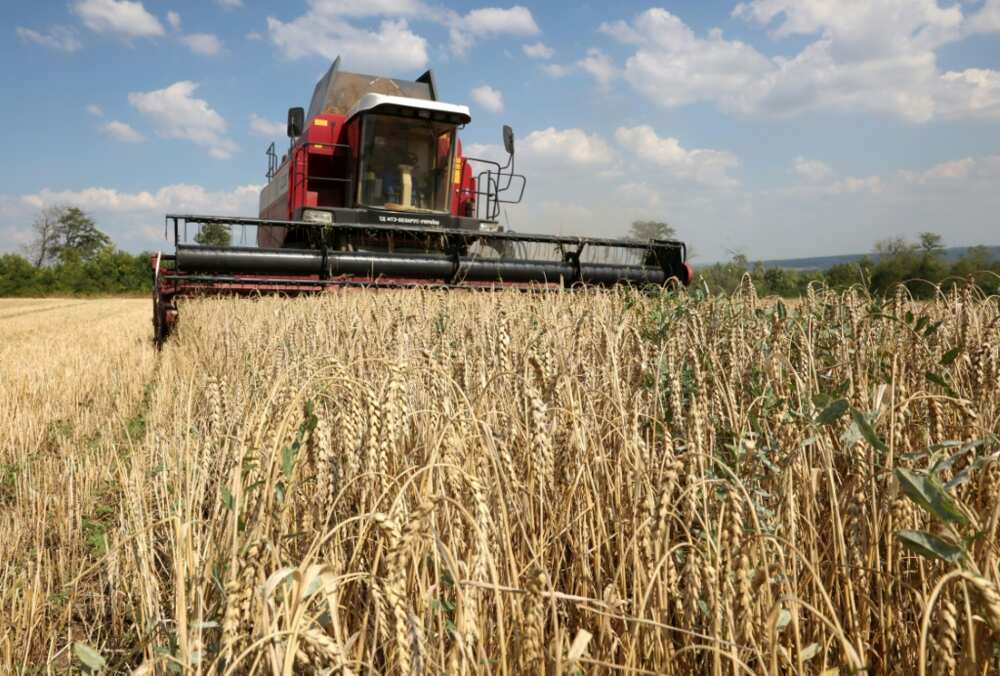 EÚ sa stala hlavnou tranzitnou trasou pre ukrajinské obilie, odkedy Rusko vypovedalo dohodu o vývoze obilia z Čierneho mora.