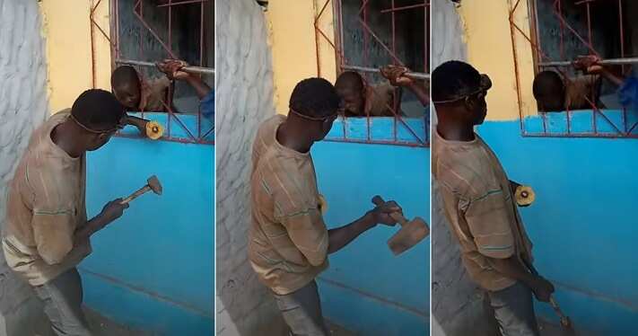 Little boy's head gets stuck in burglary proof.