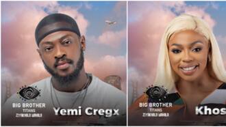 Beryl TV 9e00ab0312ed2977 Big Brother Titans: Sandra, Yemi Cregx, Yvonne, 3 Other Housemates Face Possible Eviction 