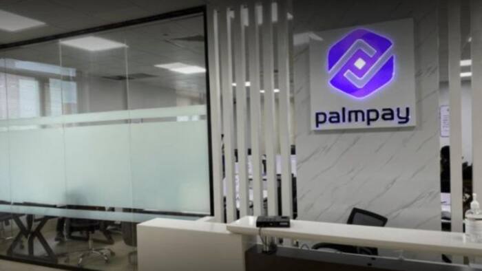 PalmPay celebrates 4 years as agents overtake merchants With 1.1 million businesses