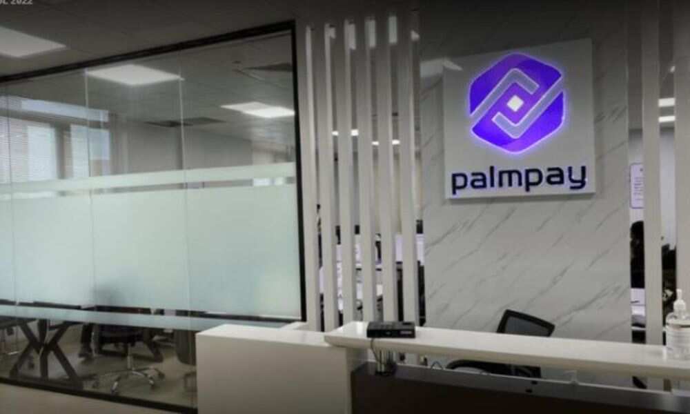 PalmPay, Financial Inclusion