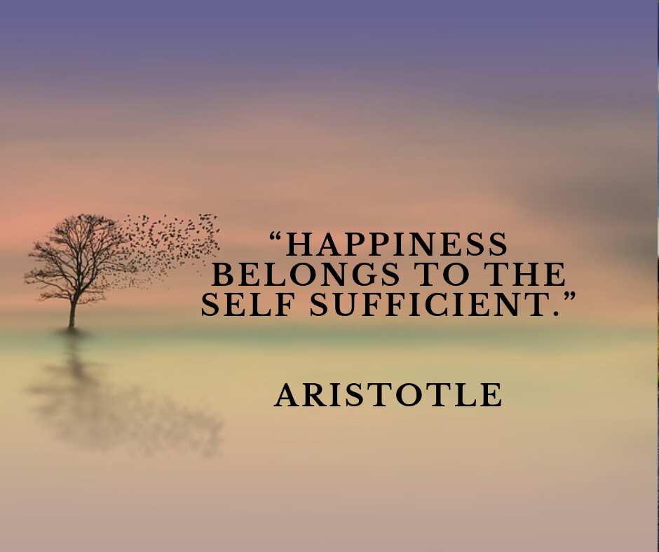 30 famous Aristotle quotes on education, love and life Legit.ng