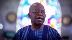 Bola Tinubu refers to Anglican priests as 'Alfa' in Ondo state
