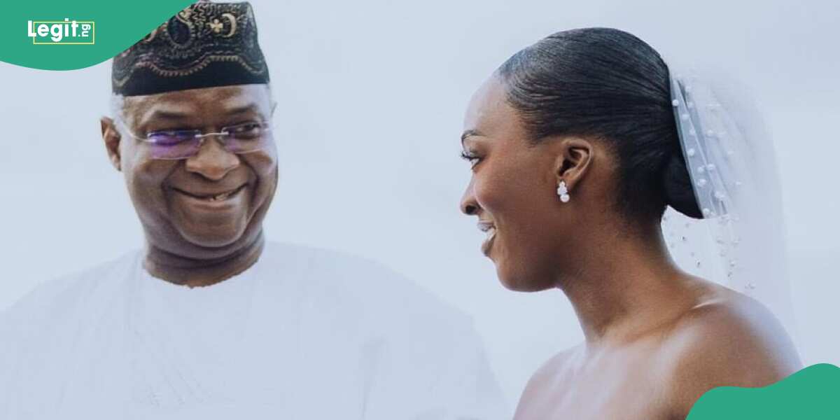 See what Fashola did while marrying his daughter off