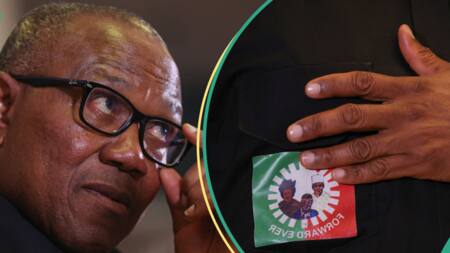 2027 presidency: Why Peter Obi should lot leave Labour Party, youth advocate speaks