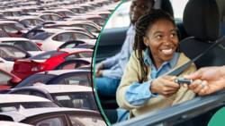 FG removes important penalty for imported vehicles as CBN slash customs FX rate
