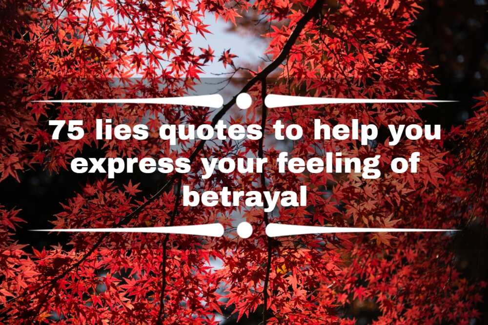 quotes on lies and rumors