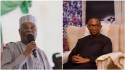 2023: "Big mistake" made as PDP governor's aides defect to Labour Party, pitch tent with Peter Obi