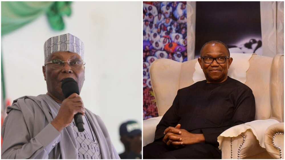 Peter Obi, Atiku, Ohanaeze Ndigbo, 2023 election, Labour Party, PDP