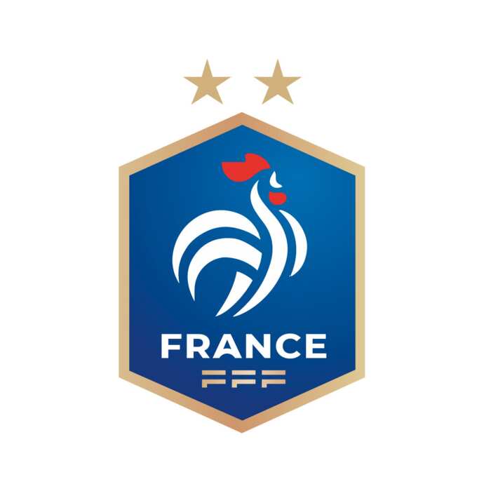 Équipe de France de football avatar