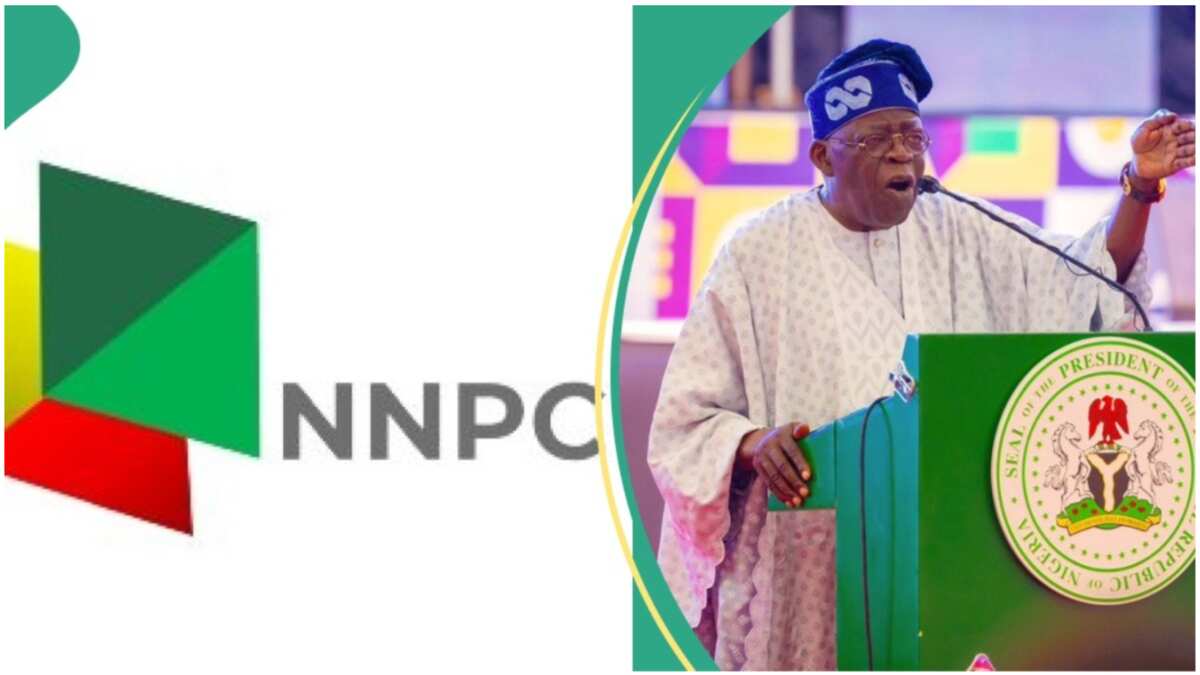 Jubilation As Tinubu Makes 9 Appointments, Full List Emerges - Legit.ng