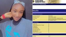 WASSCE 2023: Female Mathematics guru gets A1 in tough subjects, photo of result trends