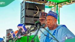 BREAKING: More trouble for Ganduje as another APC ward suspends him, details surface