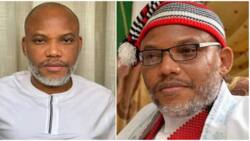 IPOB leader Nnamdi Kanu loses appeal against UK government, details emerge