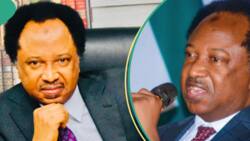 “Adalci Ya Zama Kamar Wasan Ludo”: Shehu Sani Ya Magantu Kan Kwace Kujerun Yan Majalisar PDP a Filato