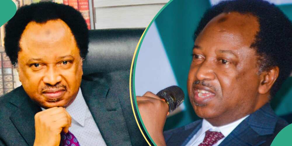 Shehu Sani faults sack of Plateau PDP lawmakers Shehu Sani faults sack of Plateau PDP lawmakers