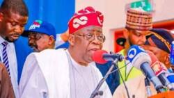 2023: Southwest SDP House of Reps candidates drop party's standard-bearer for Tinubu