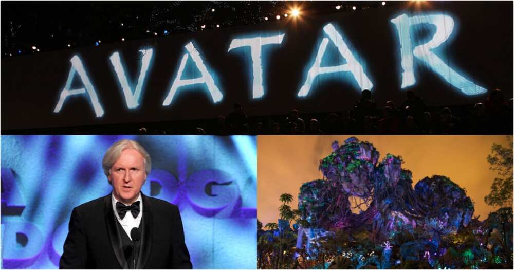Avatar 2: Director James Cameron says the sequel's filming is finished