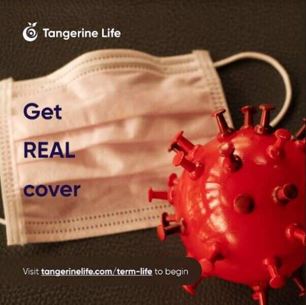 Tangerine Term Life insurance plan: Protecting your loved ones in uncertain times