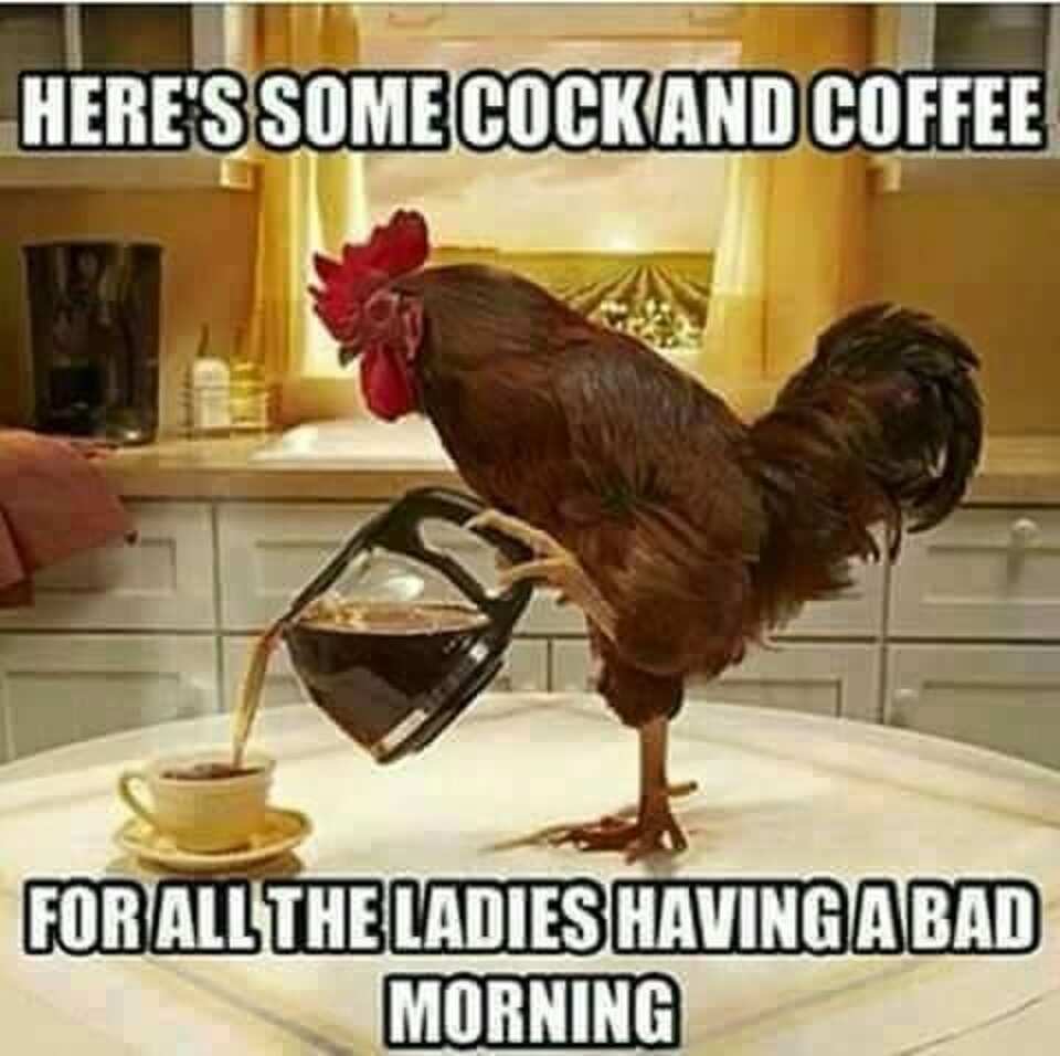 hilarious good morning meme