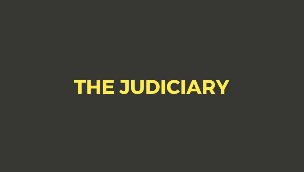 The federal judiciary The federal judiciary