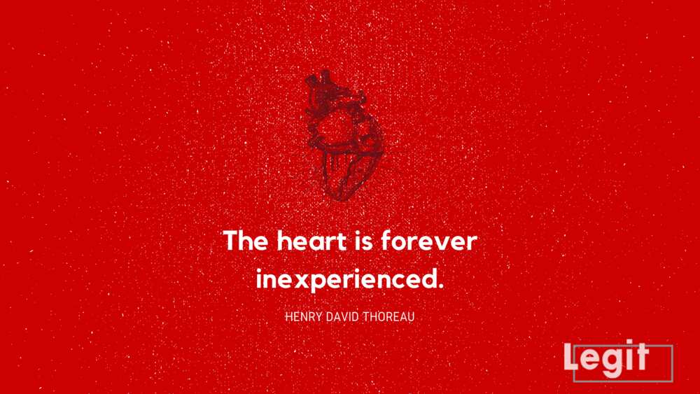 heart touching sad quotes heart touching sad quotes