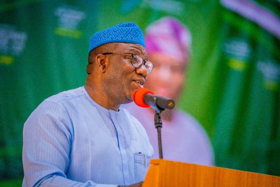 Governor Fayemi