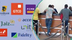 Zenith, Access, First Bank: Meet Nigeria's N1trn banks as UBA joins league of top firms