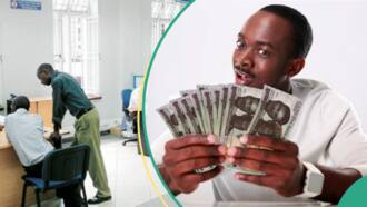 Access, Zenith, other banks set to make changes to savings accounts as CBN takes special action