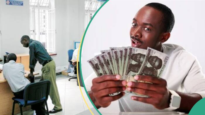 Access, Zenith, 2 other Nigerian banks earn juicy N8 trillion in 12 months, record N3.5trn FX gain