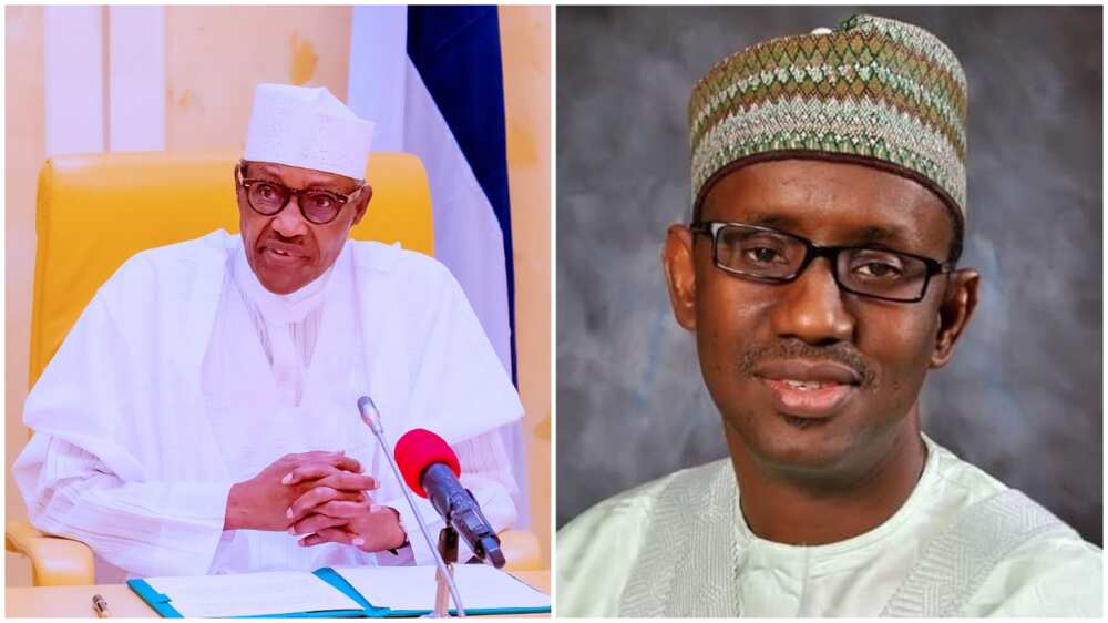 Ribadu addresses claims accusing President Buhari, others sf sponsoring bandits