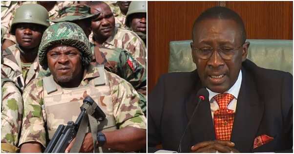 FG reveals the 2 reasons why it cannot hire mercenaries to fight insurgents