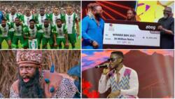 Free BBNaija slot, football career and more: Nigerians decide on most lucrative venture