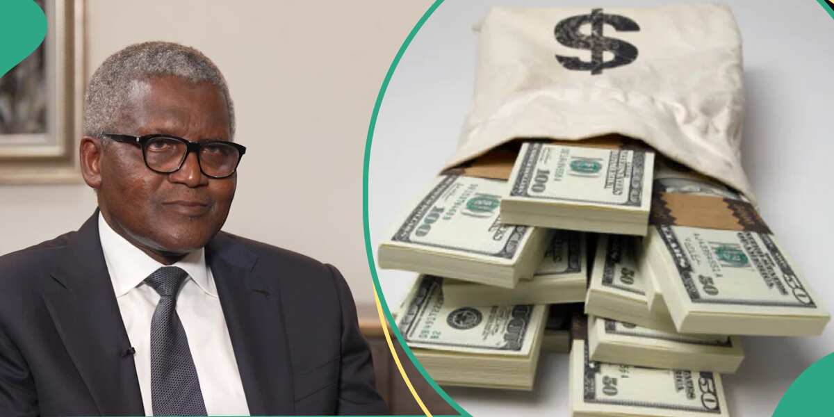 See the huge amount Aliko Dangote's companies will make in 2024