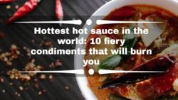 Hottest hot sauce in the world: 10 fiery condiments that will burn you