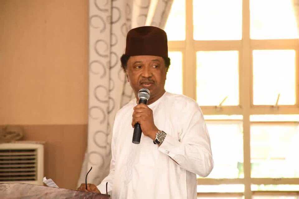 No need to vaccinate Buhari, Osinbajo on TV - Shehu Sani declares, give reasons