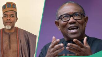 Peter Obi finally replies Omokri on not building any school as Anambra governor