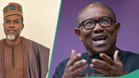 WAEC deleted post about Peter Obi's achievements in education? Reno Omokri reacts
