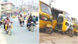 Legit poll: This is what Nigerians feel about LASG's proposed ban on okada, keke