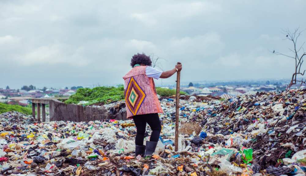 Ibadan Has a Waste Problem: This Firm Shows How to Make Money, Create ...