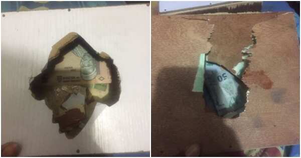 Nigerian lady cries out after finding change in her piggy bank despite saving for over a year