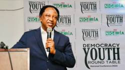 Presidency 2023: Shehu Sani reveals the only way a southerner can succeed Buhari