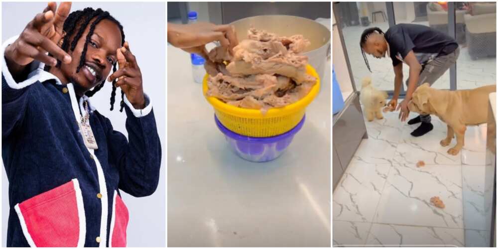 Naira Marley feeds his dogs with chicken
