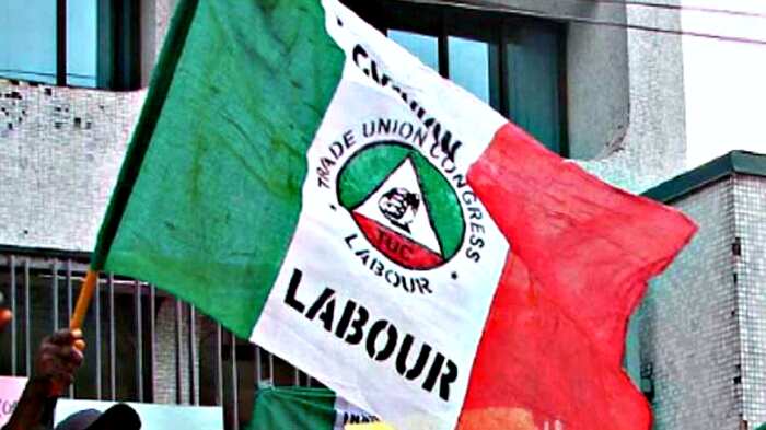 problems-of-trade-union-in-nigeria-legit-ng