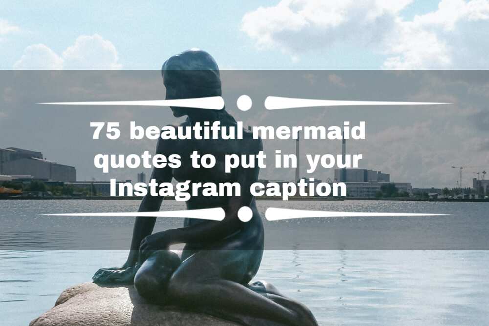 Mermaid quotes